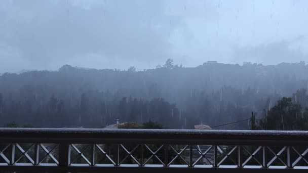 Deszcz Zachmurzone Niebo Nad Mglistymi Drzewami Leśnymi Bawarii Niemcy — Wideo stockowe