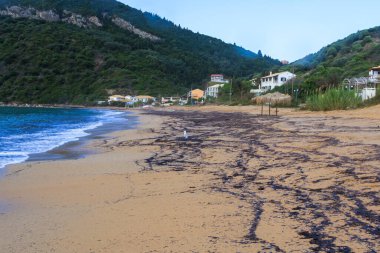 Agios Georgios yakınlarındaki kumsalda Korfu adasında mavi gökyüzünün altında