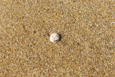 Pürüzsüz, bembeyaz yuvarlak taşlarla birlikte, taşla birlikte Corfu adasının kumlu sahilinde gülen bir yüz oluşturan yosun parçaları.