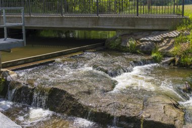 Almanya 'da ağaçlarla çevrili güzel bir nehir manzarası.