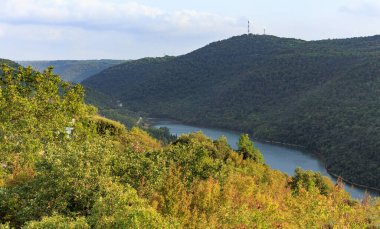 View over the forest and the Limski Canal near Rovinj in Croatia from a viewing platform