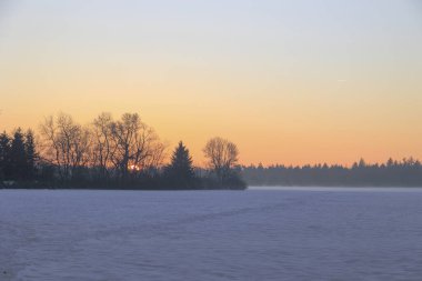 Gündoğumunda Augsburg yakınlarındaki Siebenbrunn 'da karla kaplı çayırlarda ağaçlar ve çalılar renkli gökyüzüne karşı.