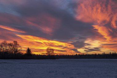 Augsburg 'un Fugger şehrinin en küçük bölgesi olan Siebenbrunn' un çayırları ve ormanları üzerinde bir kış günü parlayan kırmızı bulutlarla renkli bir gün doğumu.
