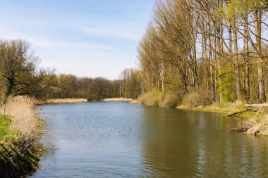 Güneşli bir bahar gününde Bavyera 'nın Marxheim yakınlarındaki Tuna Nehri' ne Lech 'in etkisi