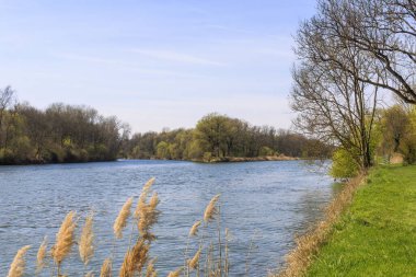 Güneşli bir bahar gününde Bavyera 'nın Marxheim yakınlarındaki Tuna Nehri' ne Lech 'in etkisi