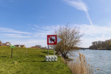 Güneşli bir bahar gününde Bavyera 'nın Marxheim yakınlarındaki Tuna Nehri' ne Lech 'in etkisi