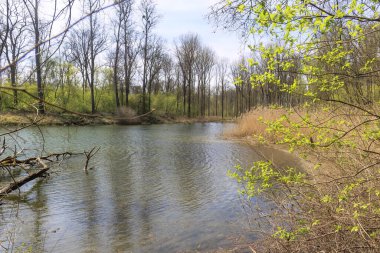 Güneşli bir bahar gününde Bavyera 'nın Marxheim yakınlarındaki Tuna Nehri' ne Lech 'in etkisi