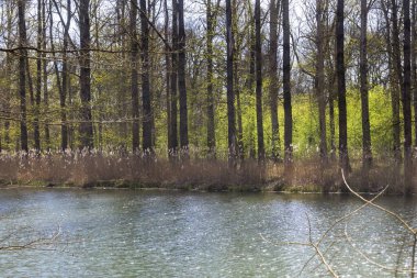 Güneşli bir bahar gününde Bavyera 'nın Marxheim yakınlarındaki Tuna Nehri' ne Lech 'in etkisi