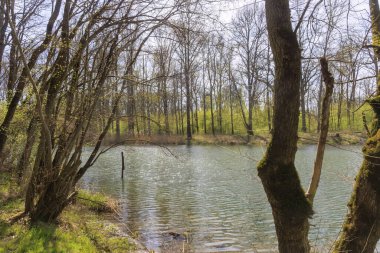 Güneşli bir bahar gününde Bavyera 'nın Marxheim yakınlarındaki Tuna Nehri' ne Lech 'in etkisi