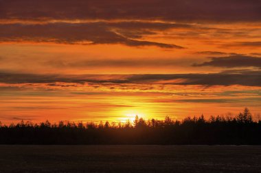 Augsburg 'un Fugger şehrinin en küçük bölgesi olan Siebenbrunn' un çayırları ve ormanları üzerinde bir kış günü parlayan kırmızı bulutlarla renkli bir gün doğumu.