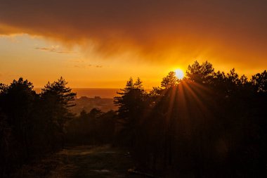 Kum tepeciğindeki bir evden Hollandalıların arasına bak.