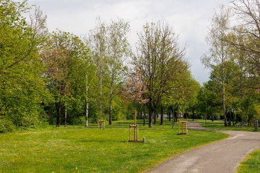 Bulutlu bir günde Augsburg yakınlarındaki Konigsbrunn 'da meyve ağaçları ve bahçe işleri olan bir parkta bir patika.