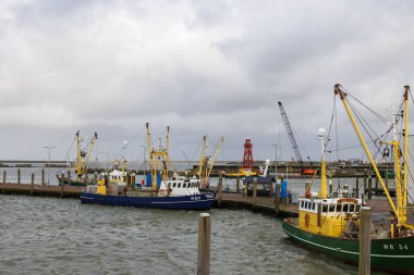 Fırtınalı bir günde, Hollanda, Den Helder, Den Helder, 24.3.2024