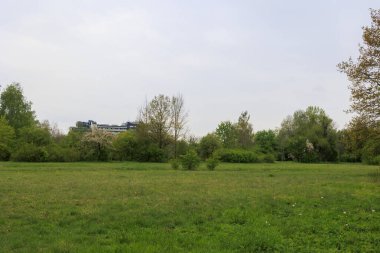Durrenast Heathland 'da yürüyüş parkurunda. Augsburg' un Fugger şehrinin şehir ormanında.