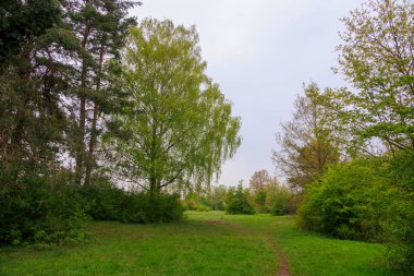 Durrenast Heathland 'da yürüyüş parkurunda. Augsburg' un Fugger şehrinin şehir ormanında.