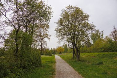 Durrenast Heathland 'da yürüyüş parkurunda. Augsburg' un Fugger şehrinin şehir ormanında.