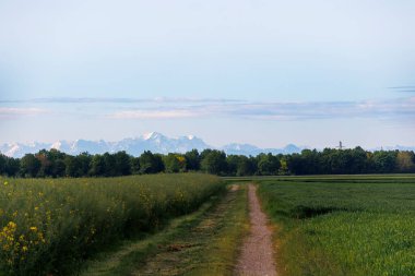 View over the fields in Inningen near Augsburg to the Alps clipart