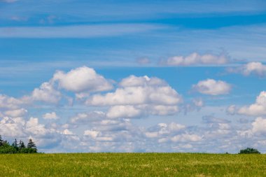 Kümülüs bulutları bir çayırın üzerinde mavi bir gökyüzünde