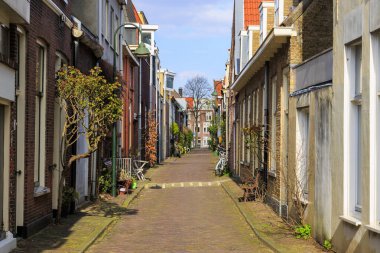 Hollanda 'nın Delft kentinde ilkbaharda sokak, Hollanda, Delft, 25.3.2024