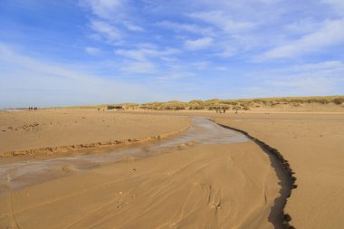 Hollanda 'nın Bergen şehrindeki kumsal güneşli bir günde mavi gökyüzü
