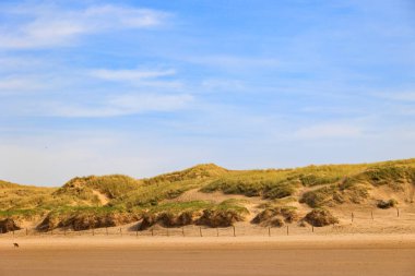 Hollanda 'nın Bergen şehrindeki kumsal güneşli bir günde mavi gökyüzü