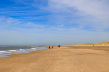 Hollanda 'nın Bergen şehrindeki kumsal güneşli bir günde mavi gökyüzü