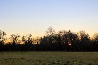 Yükselen sabah güneşinin ışınları ağaçların arasından, Augsburg 'un Fugger şehrinin en küçük bölgesi olan Siebenbrunn' un çayırlarında parlıyor.