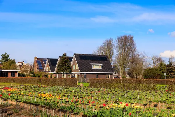 stock image Detached houses with solar panels on a sunny day in spring in th