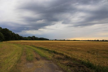Bavyera 'daki Mering yakınlarındaki tarlalarda gök gürültülü bulutlar