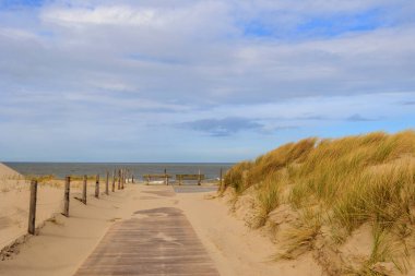 Rüzgarlı bir günde bulutlu bir günde, Hollanda 'nın Petten aan Zee sahilindeki kum tepelerinin üzerinden tahta patika.