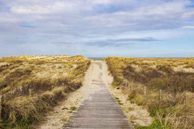 Rüzgarlı bir günde bulutlu bir günde, Hollanda 'nın Petten aan Zee sahilindeki kum tepelerinin üzerinden tahta patika.