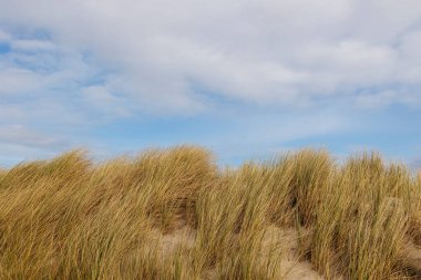 Petten aan Zee 'deki Hollanda sahillerine giden yol rüzgarlı bir günde bulutlu bir gökyüzü ile