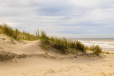 Fırtınalı bir günde, Hollanda 'nın Petten aan Zee sahilinde bulutlu bir gökyüzü ile denize bakan kumullara bakın.