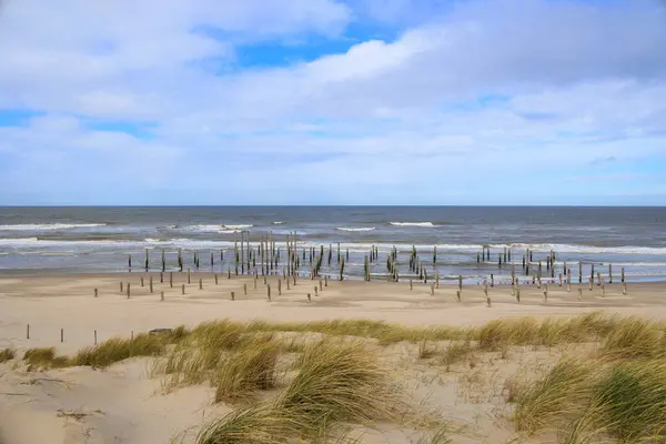 stock image Wooden piles in the sea symbolize a vanished village on the beach of Petten aan Zee in the Netherlands on a stormy day with a cloudy sky