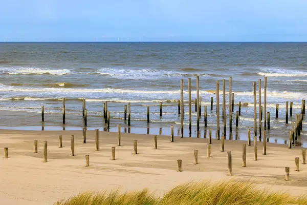 stock image Wooden piles in the sea symbolize a vanished village on the beach of Petten aan Zee in the Netherlands on a stormy day with a cloudy sky