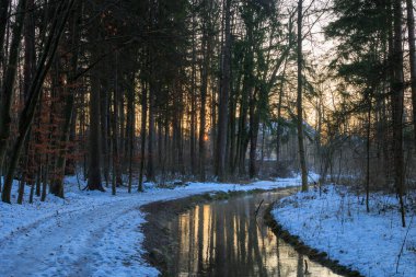 Kışın gündoğumunda Augsburg yakınlarındaki Siebenbrunn 'da Brunnenbach deresinin yanındaki karla kaplı orman yolu.