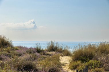 Fransa 'da, Carnon' da kumullardan denize çiçek açan çiçekler arasındaki yol.
