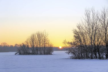Gündoğumunda Augsburg yakınlarındaki Siebenbrunn 'da karla kaplı çayırlarda ağaçlar ve çalılar renkli gökyüzüne karşı.