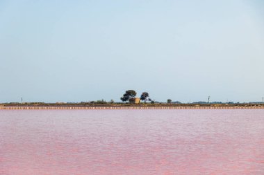 Fransa 'nın Camarque bölgesindeki Aigues-Mortes kasabası yakınlarındaki pembe tuz üretimi tavalarına bakın.