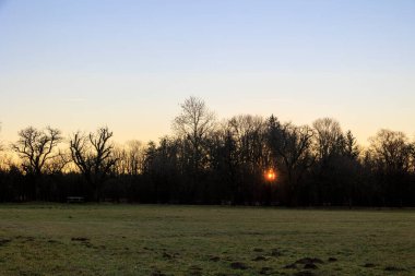 Yükselen sabah güneşinin ışınları ağaçların arasından, Augsburg 'un Fugger şehrinin en küçük bölgesi olan Siebenbrunn' un çayırlarında parlıyor.
