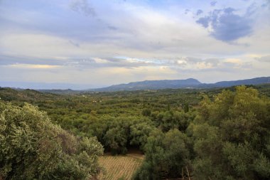 wooded mountains and olive plantations in the north of the island of Corfu clipart