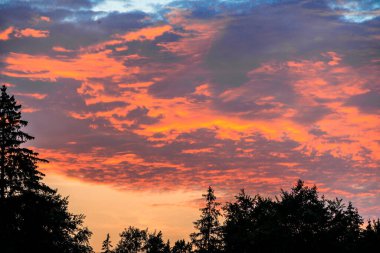 Brunnenbach 'ın yukarısında gökyüzünde parlayan turuncu bulutlar Augsburg Siebenbrunn yakınlarındaki ormanda.
