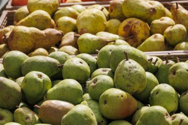 Elmalar ve armutlar Bachingen 'deki patates ve elma pazarında satılıktır.