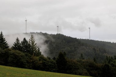 Kara Orman 'ın ağaçları sisli ve bulutlu bir günde