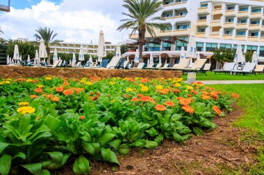 Yunanistan 'ın Paphos kentindeki Kıbrıs adasında lüks tatil beldeleriyle rıhtım gezisi