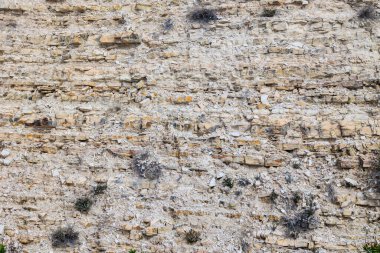 Kıbrıs Rum Kesimi 'ndeki bir kayanın üzerindeki açık renkli doğal taşın arka planı