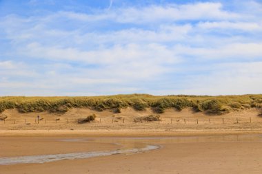 Hollanda 'nın Bergen şehrindeki kumsal güneşli bir günde mavi gökyüzü