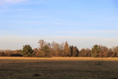 Augsburg yakınlarındaki Siebenbrunn 'da sabah vakti çayırlar ve ağaçlar.
