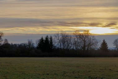 Ocak ayında, Augsburg yakınlarındaki Siebenbrunn 'da bir ormanın kenarındaki çayırda sis vardı.