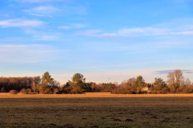 Augsburg yakınlarındaki Siebenbrunn 'da sabah vakti çayırlar ve ağaçlar.